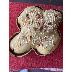 COLOMBA PISTACCHIO kg 1