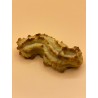 PASTA DI MANDORLA PESCA VASSOIO g250